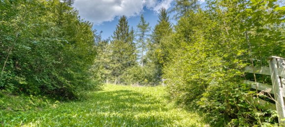  Land in Biberwier, Austria No. 11525 5