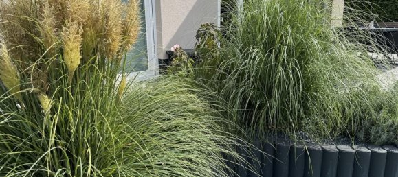 6-Zimmer Villa in Dahme-Spreewald, Germany, Nr. 326732 2