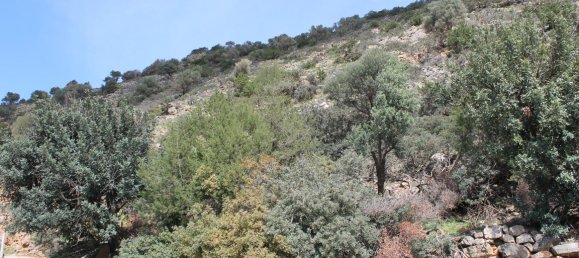 Hotel em Agios Nikolaos, Greece 17000 m² N.º 5098 5