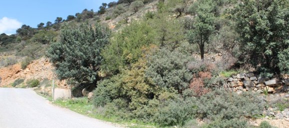 Hotel em Agios Nikolaos, Greece 17000 m² N.º 5098 3