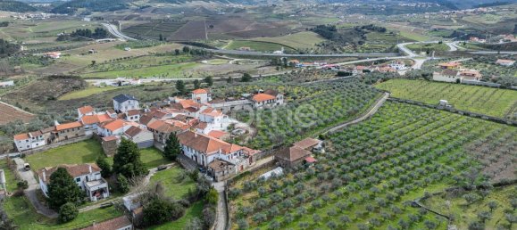 10 bedrooms House in Murca, Portugal No. 92171 39