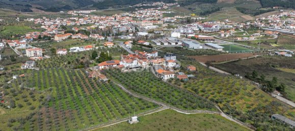 10 bedrooms House in Murca, Portugal No. 92171 43