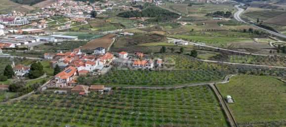 10 bedrooms House in Murca, Portugal No. 92171 36