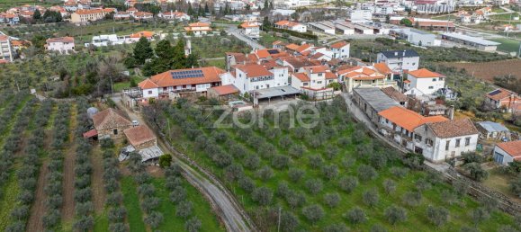 10 bedrooms House in Murca, Portugal No. 92171 35