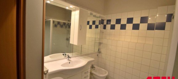 3 rooms Apartment in Enns, Austria No. 230893 8