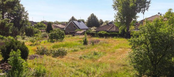  Land in Barnim, Germany No. 361116 3