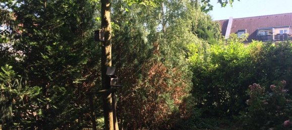 2 rooms Apartment in Bonn, Germany No. 114589 20