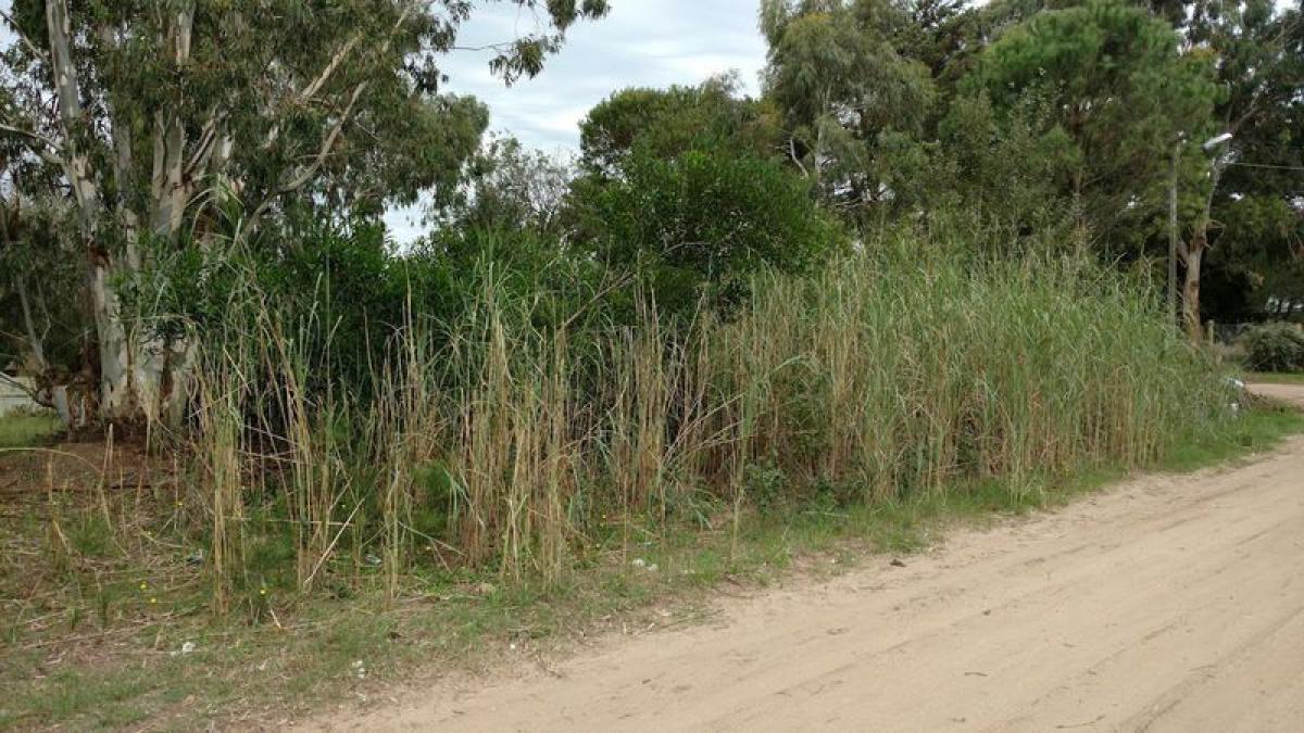 Terreno en Mar del Plata, Argentina No. 112474