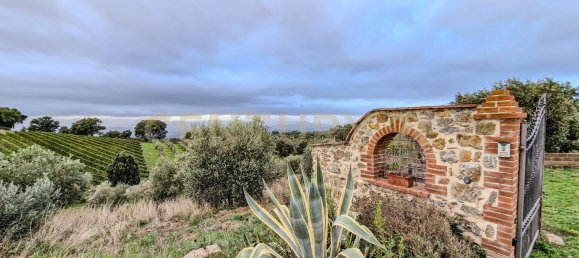 6 bedrooms Villa in Scansano, Italy No. 316846 25