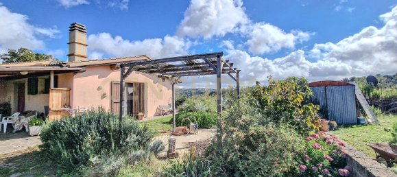 6 bedrooms Villa in Scansano, Italy No. 316846 26