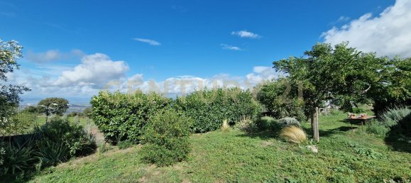 6 bedrooms Villa in Scansano, Italy No. 316846 22