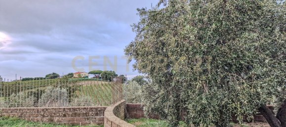 6 bedrooms Villa in Scansano, Italy No. 316846 2