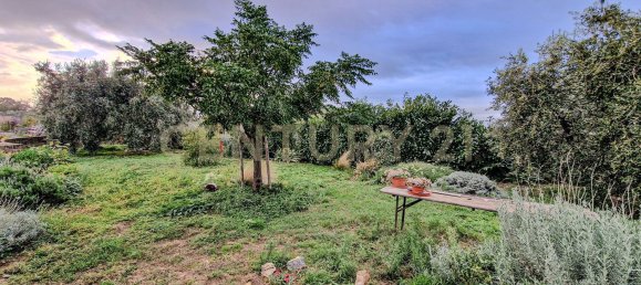 6 bedrooms Villa in Scansano, Italy No. 316846 6