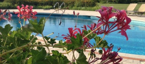 8 rooms House in Roncade, Italy No. 257223 2