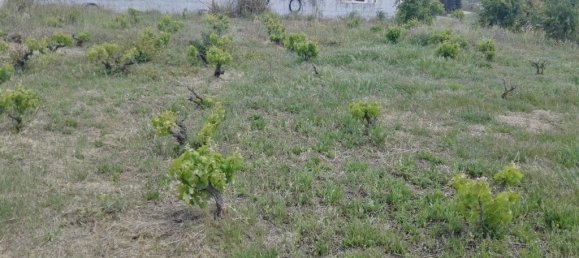 3 Schlafzimmer Haus in Mijas, Spain, Nr. 53529 33