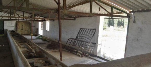 3 Schlafzimmer Haus in Mijas, Spain, Nr. 53529 57