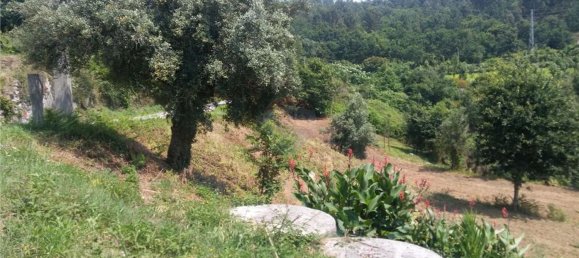 6719m² Land in Sao Torcato, Portugal No. 43532 15