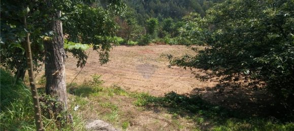 6719m² Land in Sao Torcato, Portugal No. 43532 9