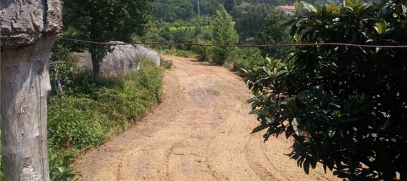 6719m² Land in Sao Torcato, Portugal No. 43532 4