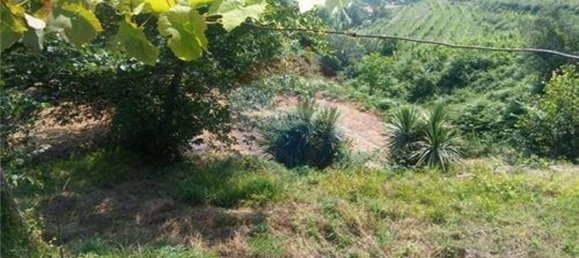 6719m² Land in Sao Torcato, Portugal No. 43532 11