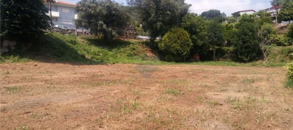 6719m² Land in Sao Torcato, Portugal No. 43532 17