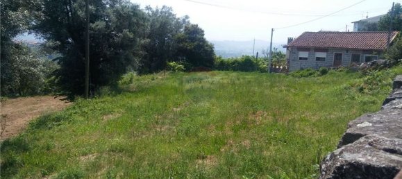 6719m² Land in Sao Torcato, Portugal No. 43532 18