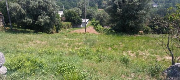 6719m² Land in Sao Torcato, Portugal No. 43532 3