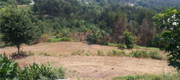 6719m² Land in Sao Torcato, Portugal No. 43532 10