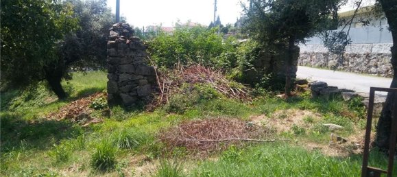 6719m² Land in Sao Torcato, Portugal No. 43532 2