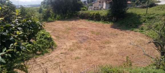6719m² Land in Sao Torcato, Portugal No. 43532 13