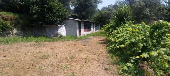 6719m² Land in Sao Torcato, Portugal No. 43532 8