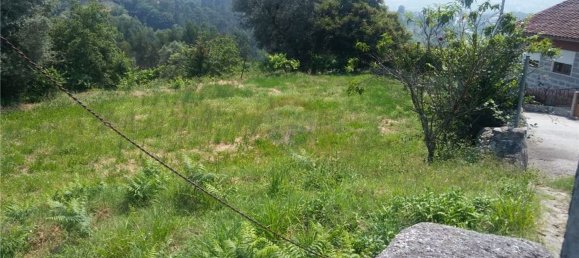 6719m² Land in Sao Torcato, Portugal No. 43532 14