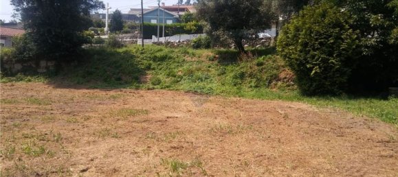 6719m² Land in Sao Torcato, Portugal No. 43532 12
