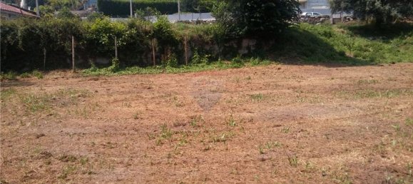 6719m² Land in Sao Torcato, Portugal No. 43532 16