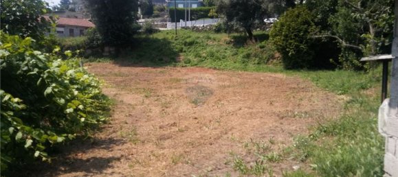 6719m² Land in Sao Torcato, Portugal No. 43532 6