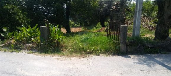 6719m² Land in Sao Torcato, Portugal No. 43532 5