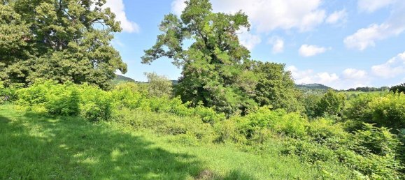 3120m² Land in Dobling, Austria No. 257256 8