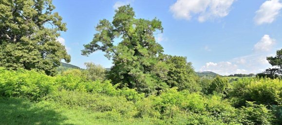 3120m² Land in Dobling, Austria No. 257256 4