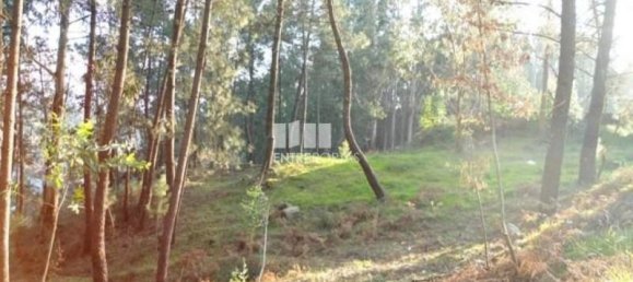 640m² Land in Marco de Canaveses, Portugal No. 173151 4