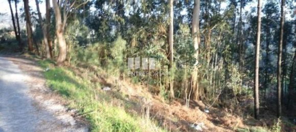 640m² Land in Marco de Canaveses, Portugal No. 173151 2