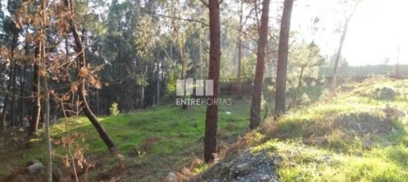 640m² Land in Marco de Canaveses, Portugal No. 173151 3