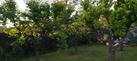 10 rooms Villa in Viagrande, Italy No. 251366 23