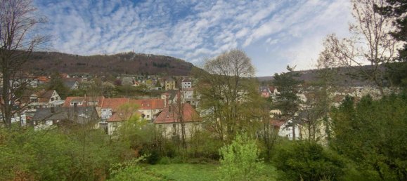 10-Zimmer Stadthaus in Zollernalbkreis, Germany, Nr. 45426 26