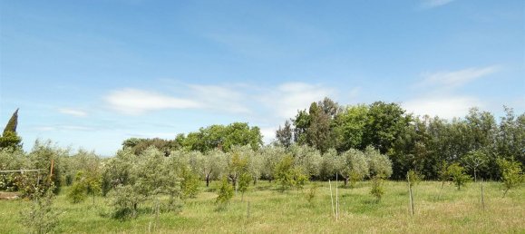 9-salle Maison à Bibbona, Italy No. 230116 22