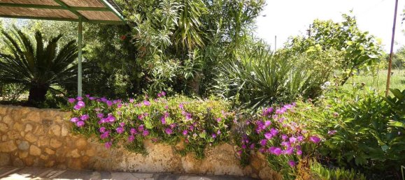 9-salle Maison à Bibbona, Italy No. 230116 2