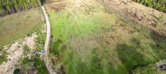 Grundstück in Cantanhede, Portugal 12400m², Nr. 85479 4