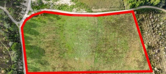 Grundstück in Cantanhede, Portugal 12400m², Nr. 85479 3