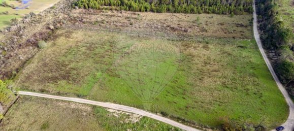 Grundstück in Cantanhede, Portugal 12400m², Nr. 85479 2