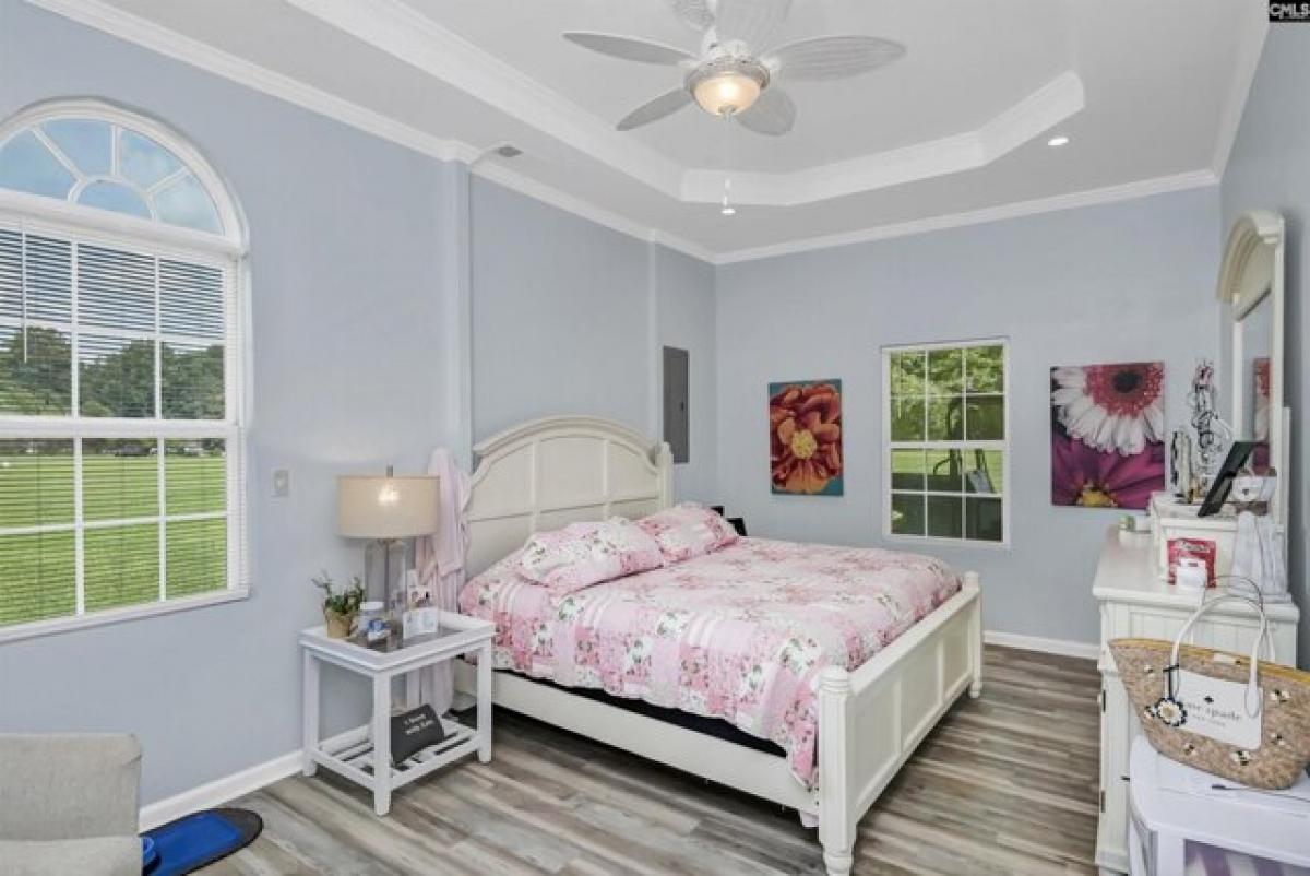 Studio in Chapin, USA No. 414115