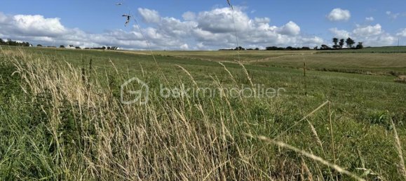 4 bedrooms House in Finistere, France No. 306139 3